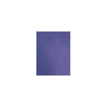 https://www.veahcolor.com.ar/1837-thickbox/easy-fuse-violeta-15x20-cm.jpg