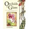 NF ORCHIDS IN GLASS