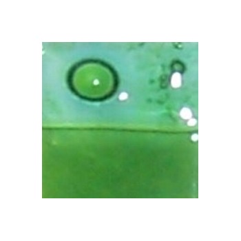 https://www.veahcolor.com.ar/4519-thickbox/esmalte-p-float-verde-25-gr.jpg
