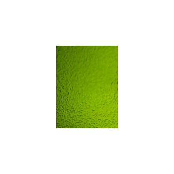 https://www.veahcolor.com.ar/5372-thickbox/verde-seco-granito-wissmach-205x270-cm.jpg