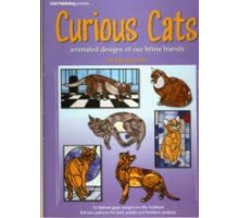 Curious Cats (gatos Curiosos)