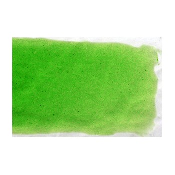 https://www.veahcolor.com.ar/807-thickbox/polvo-durero-verde-cromo-p-decorar-float-20g.jpg